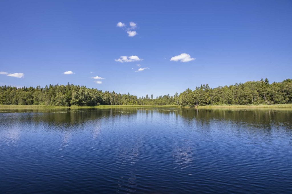 What's the Difference Between a Lake and a Pond? | Steppe.org